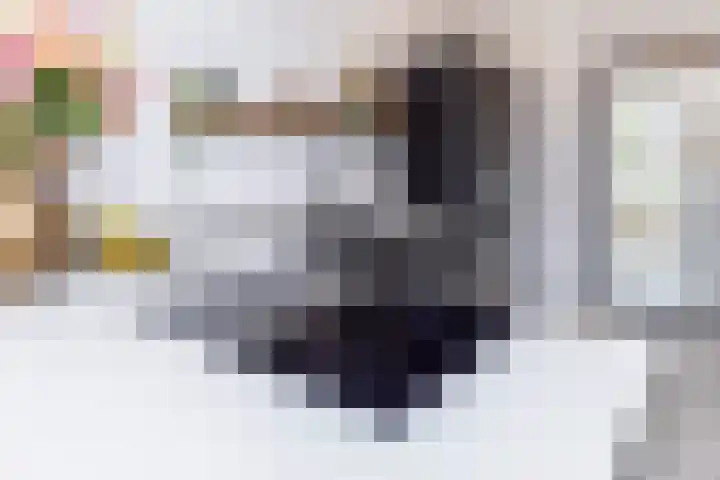 Zilverreigerdreef 26 Pijnacker thumbnail 8