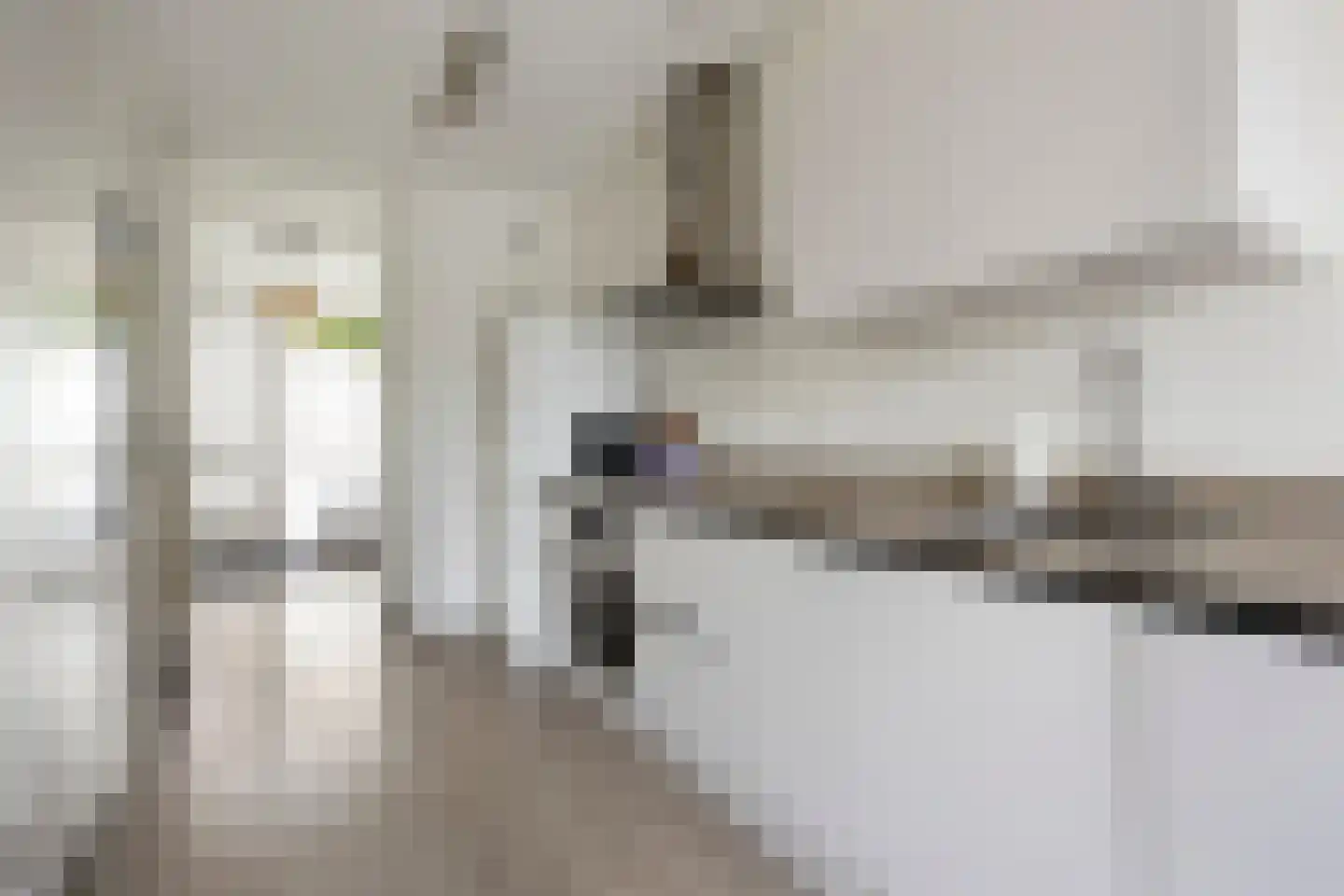 Zilverreigerdreef 4 Pijnacker thumbnail 10