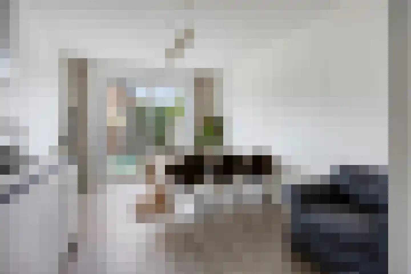 Zilverreigerdreef 4 Pijnacker thumbnail 11