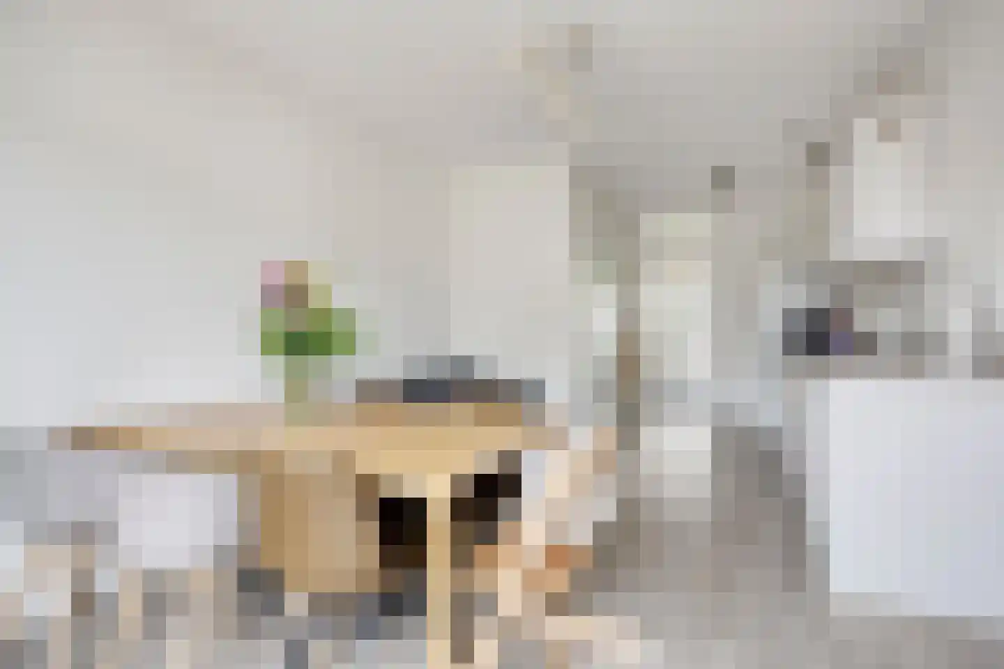 Zilverreigerdreef 4 Pijnacker thumbnail 13