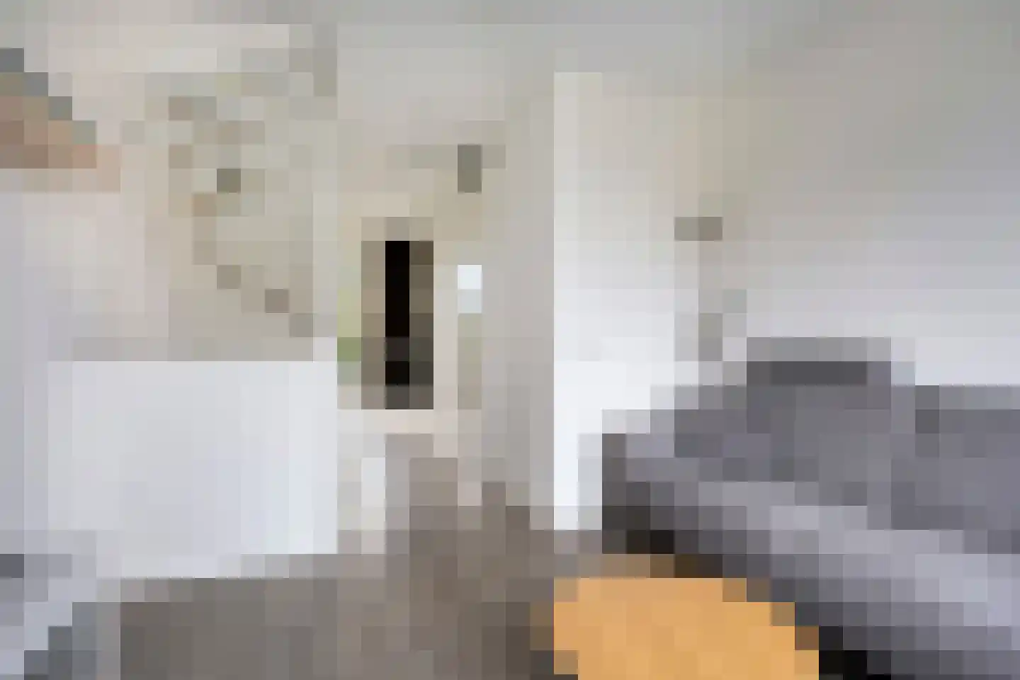 Zilverreigerdreef 4 Pijnacker thumbnail 14