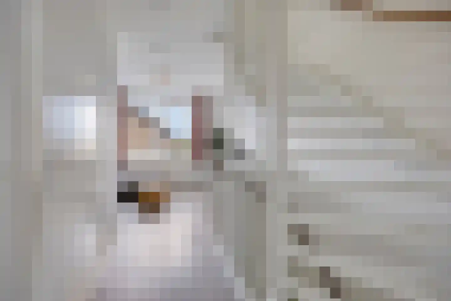 Zilverreigerdreef 4 Pijnacker thumbnail 15