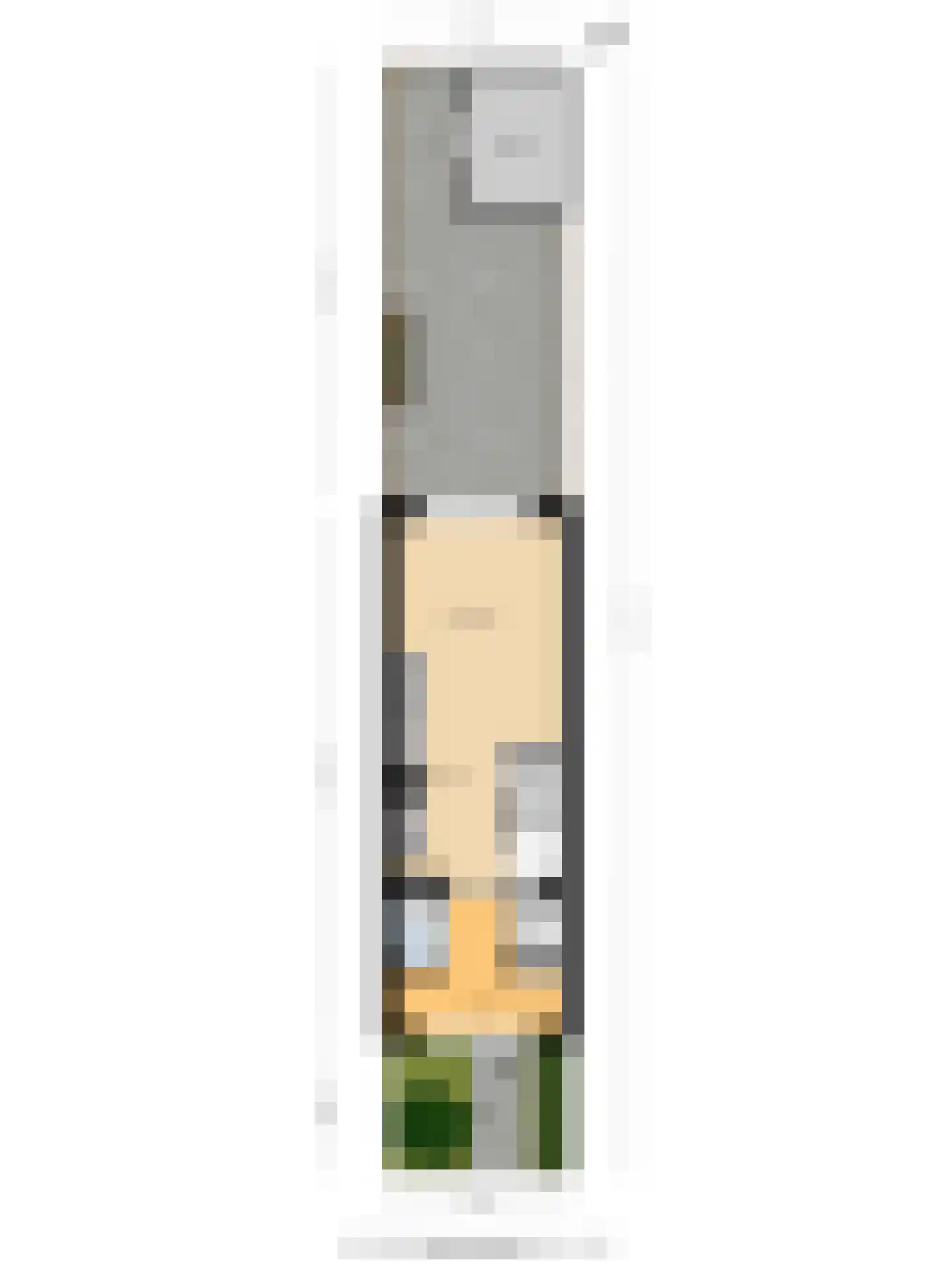 Zilverreigerdreef 4 Pijnacker thumbnail 22