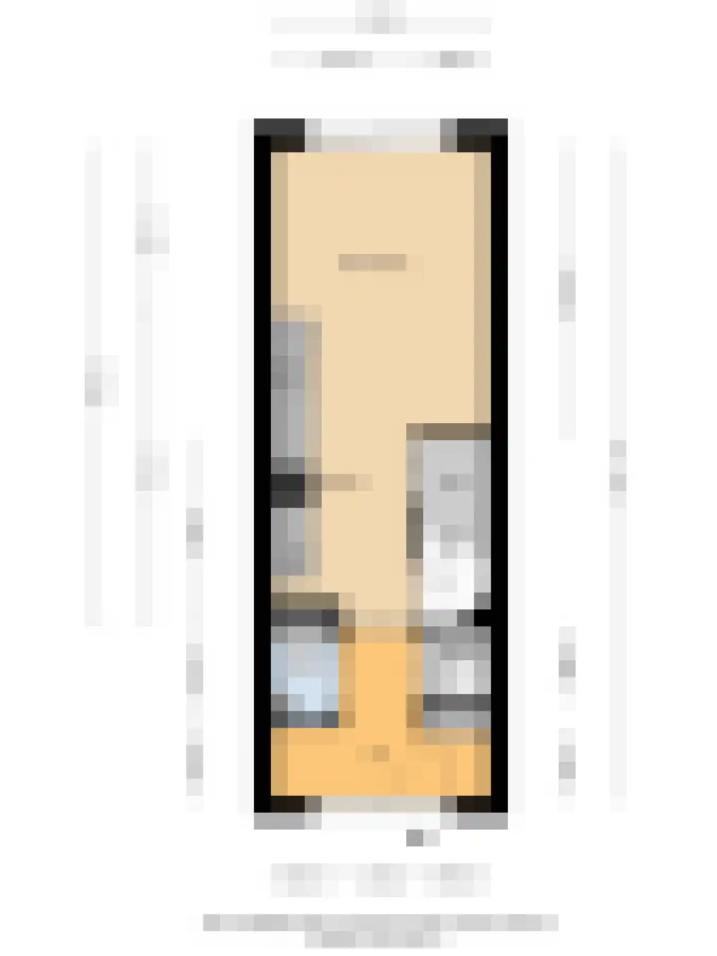 Zilverreigerdreef 4 Pijnacker thumbnail 23