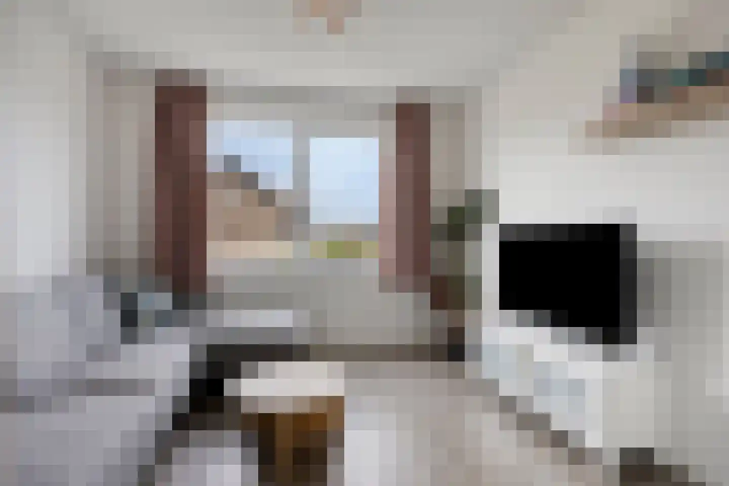 Zilverreigerdreef 4 Pijnacker foto 3