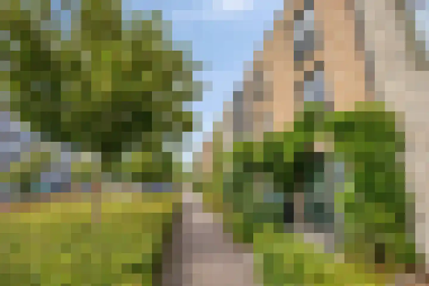 Zilverreigerdreef 4 Pijnacker thumbnail 7