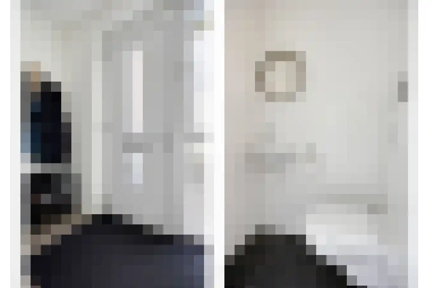 Zilverreigerdreef 4 Pijnacker thumbnail 8