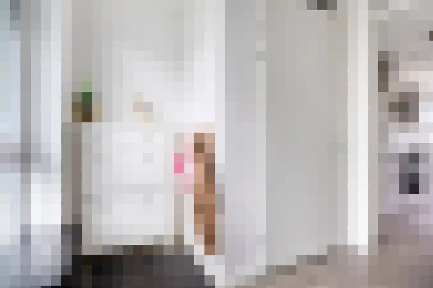 Zilverreigerdreef 4 Pijnacker thumbnail 9