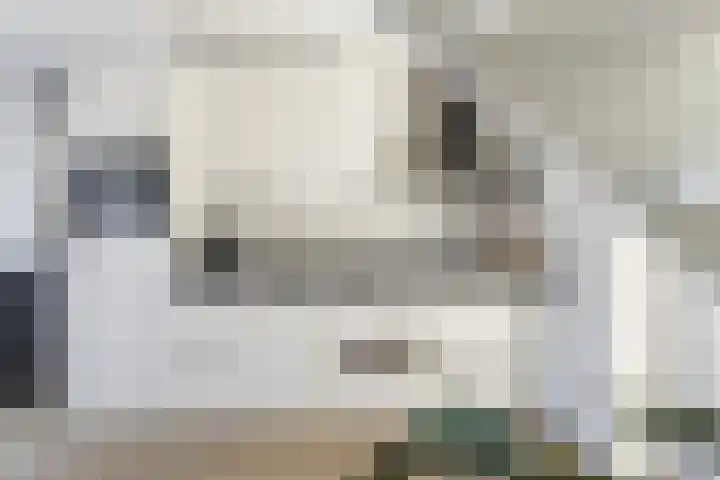 Zilverreigerdreef 42 Pijnacker thumbnail 10