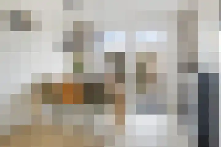 Zilverreigerdreef 42 Pijnacker thumbnail 12
