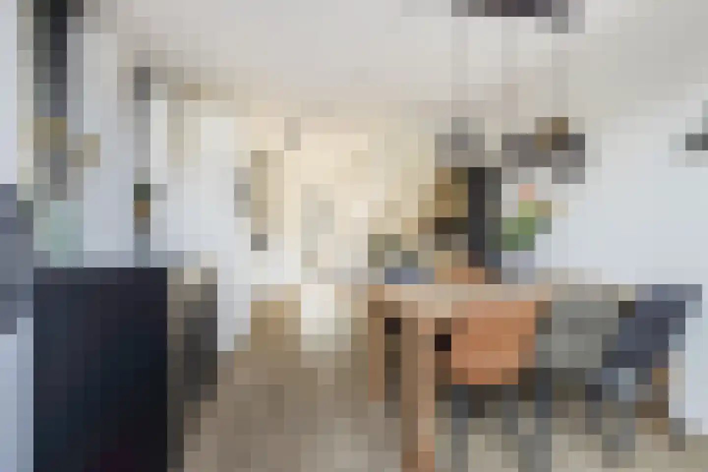 Zilverreigerdreef 42 Pijnacker thumbnail 14