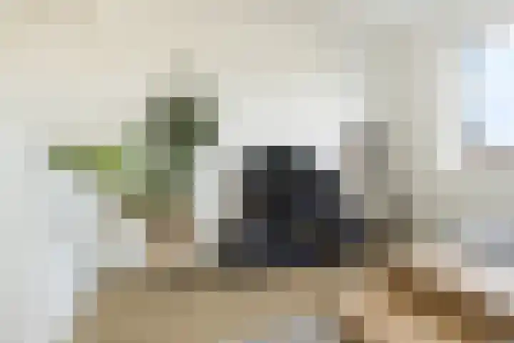 Zilverreigerdreef 42 Pijnacker thumbnail 16