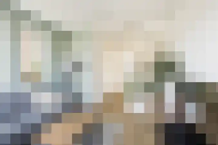 Zilverreigerdreef 42 Pijnacker thumbnail 17