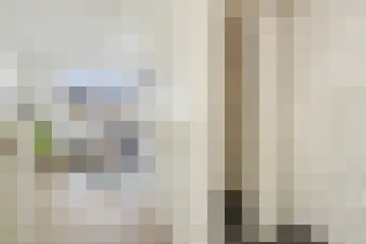 Zilverreigerdreef 42 Pijnacker thumbnail 18