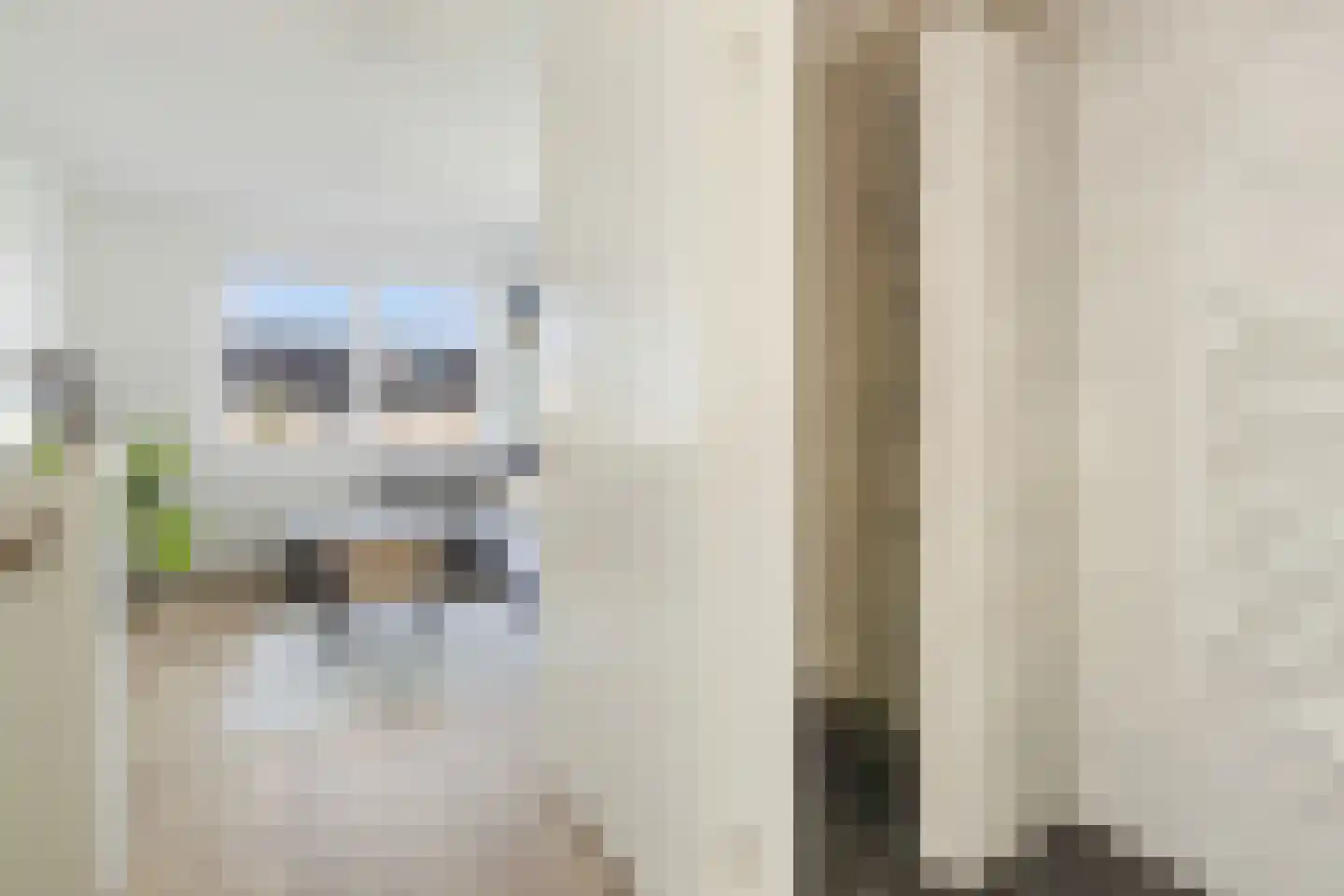 Zilverreigerdreef 42 Pijnacker thumbnail 18