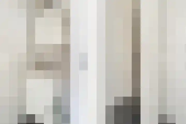 Zilverreigerdreef 42 Pijnacker thumbnail 19