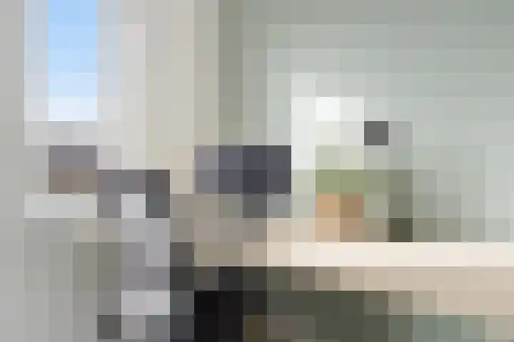 Zilverreigerdreef 42 Pijnacker thumbnail 25