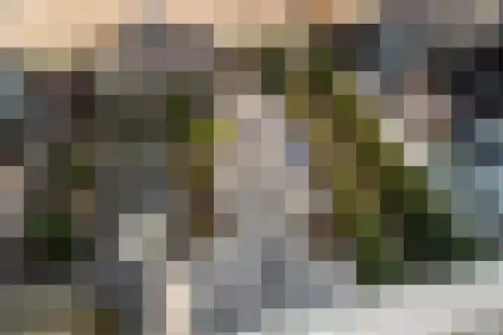 Zilverreigerdreef 42 Pijnacker thumbnail 29