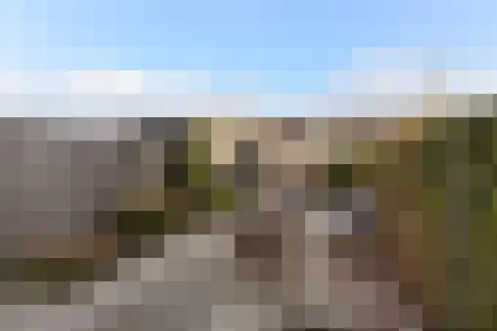 Zilverreigerdreef 42 Pijnacker thumbnail 31