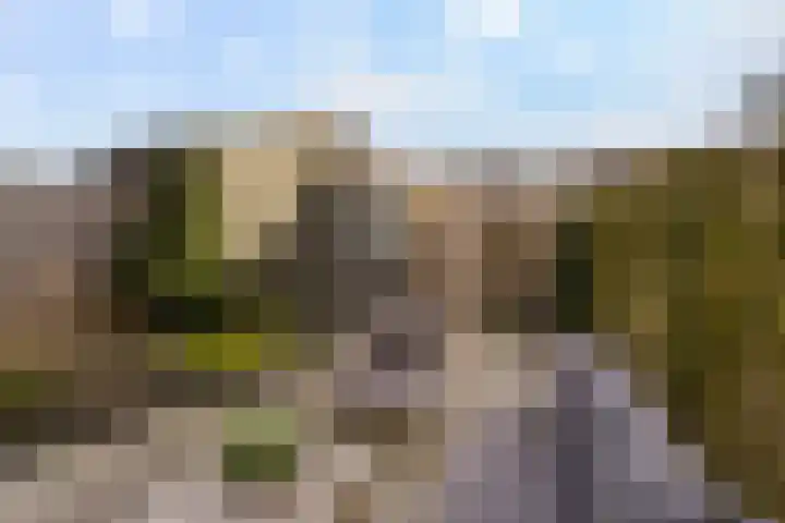 Zilverreigerdreef 42 Pijnacker thumbnail 32