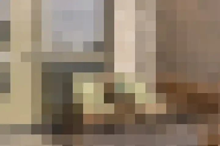 Zilverreigerdreef 42 Pijnacker thumbnail 36