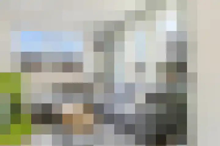 Zilverreigerdreef 42 Pijnacker thumbnail 4