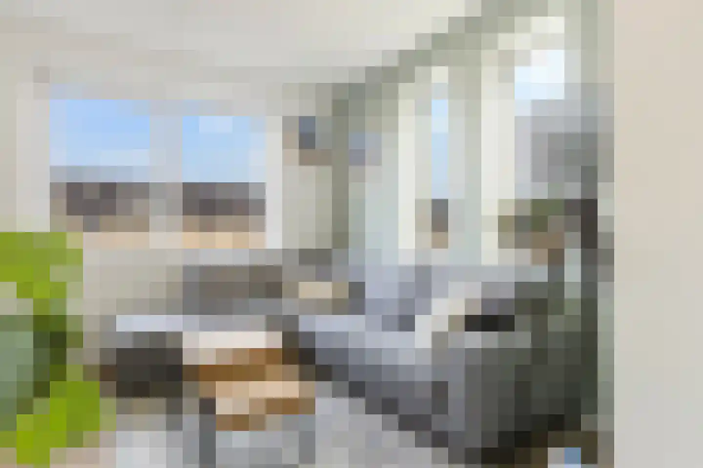 Zilverreigerdreef 42 Pijnacker thumbnail 4