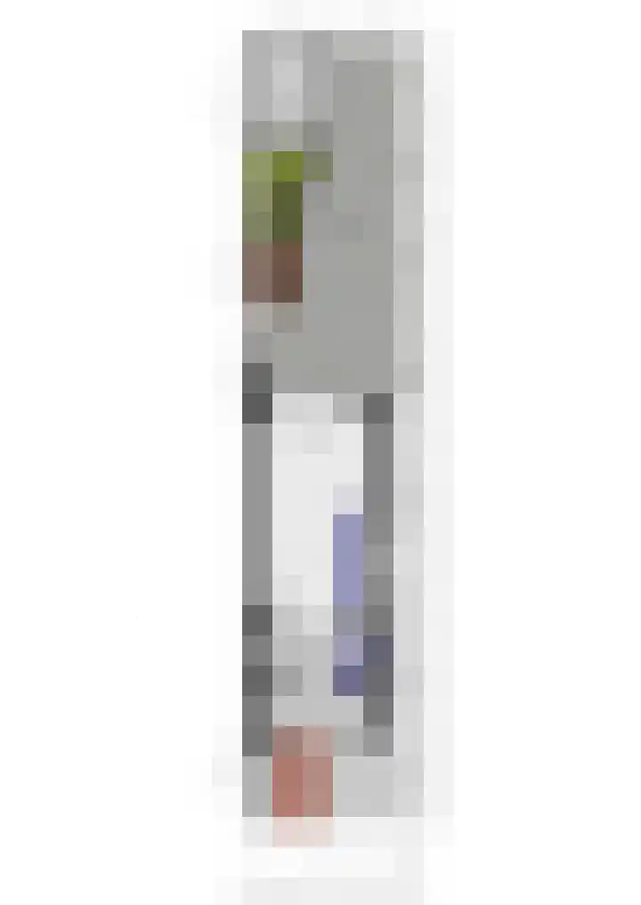 Zilverreigerdreef 42 Pijnacker thumbnail 42