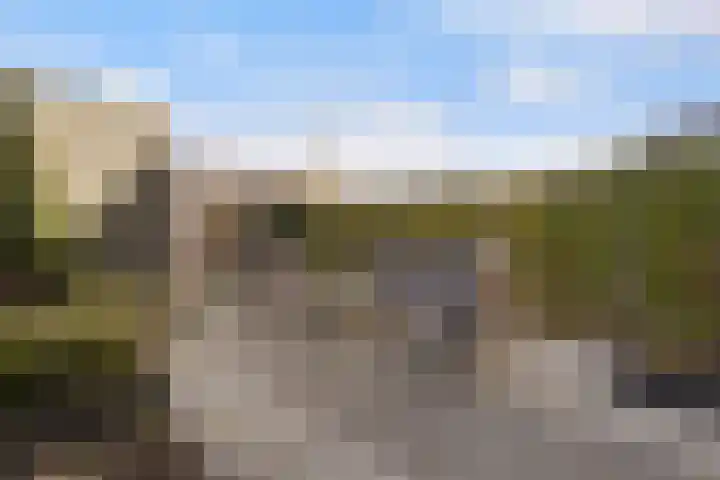 Zilverreigerdreef 42 Pijnacker thumbnail 5