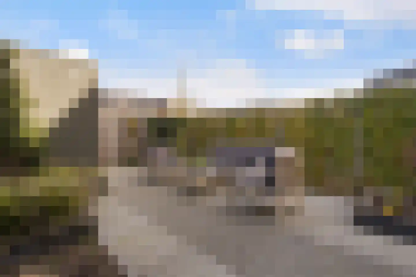 Zilverreigerdreef 42 Pijnacker thumbnail 5