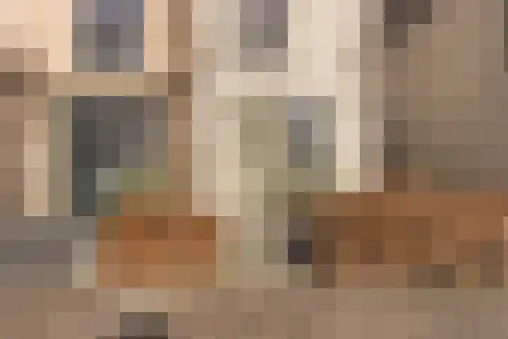 Zilverreigerdreef 42 Pijnacker thumbnail 6