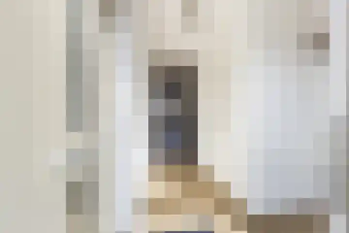 Zilverreigerdreef 42 Pijnacker thumbnail 7