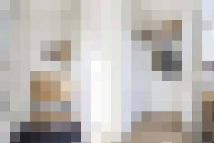 Zilverreigerdreef 42 Pijnacker thumbnail 8