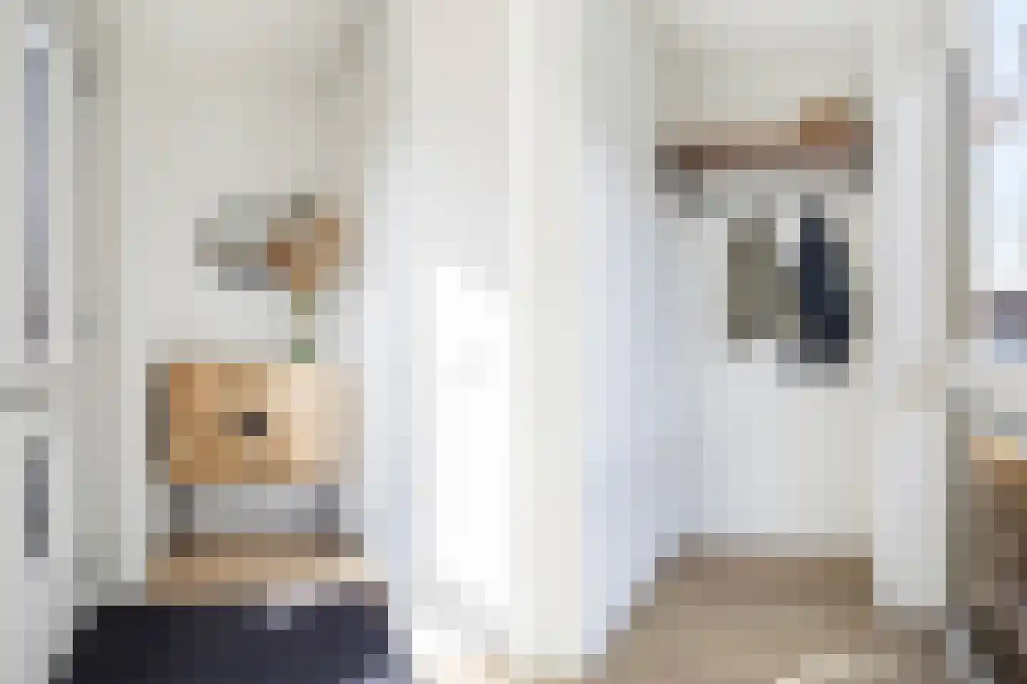 Zilverreigerdreef 42 Pijnacker thumbnail 8