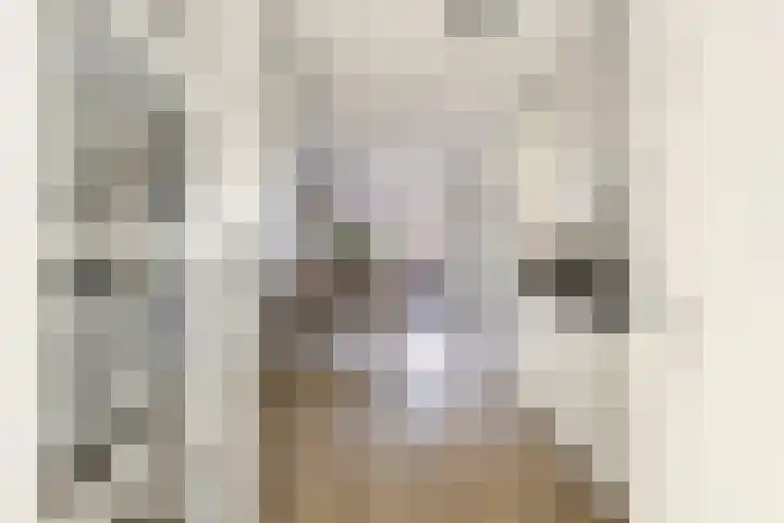 Zilverreigerdreef 42 Pijnacker thumbnail 9