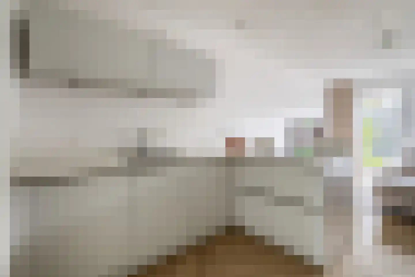 Zilverreigerdreef 50 Pijnacker thumbnail 11