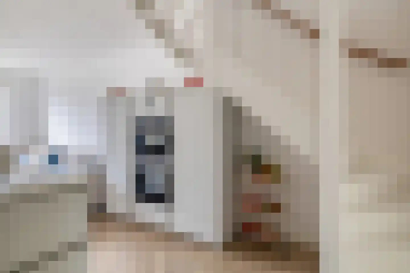 Zilverreigerdreef 50 Pijnacker thumbnail 13