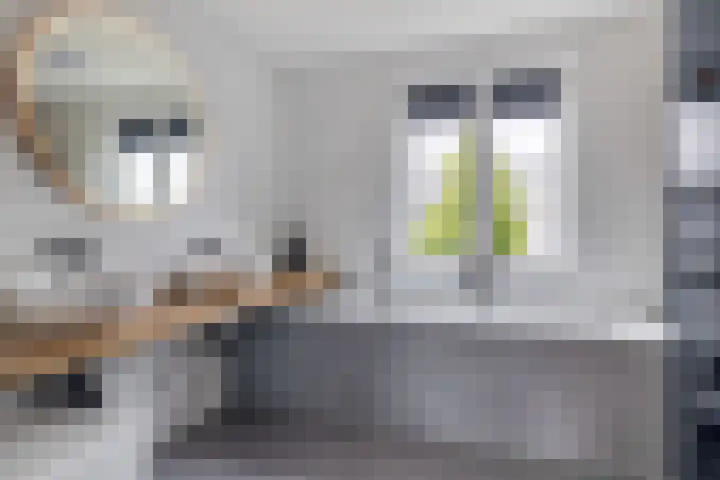 Zilverreigerdreef 50 Pijnacker thumbnail 19