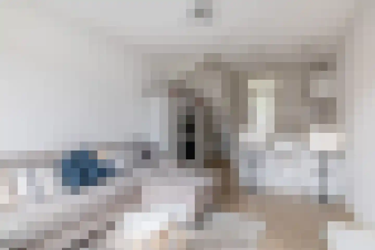Zilverreigerdreef 50 Pijnacker thumbnail 5
