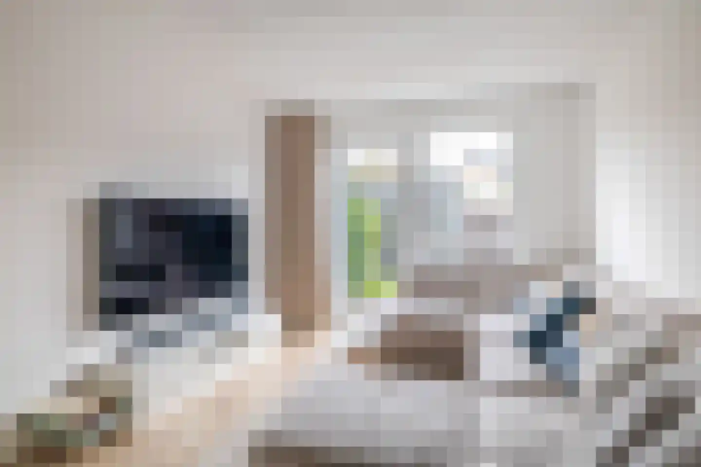Zilverreigerdreef 50 Pijnacker thumbnail 6