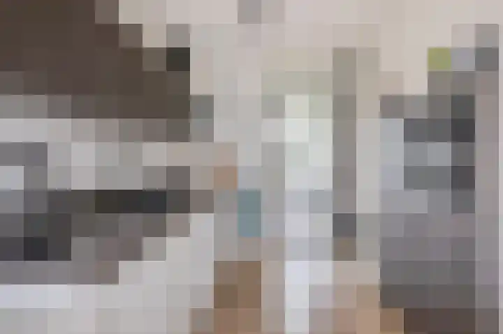 Zilverreigerdreef 6 Pijnacker thumbnail 10