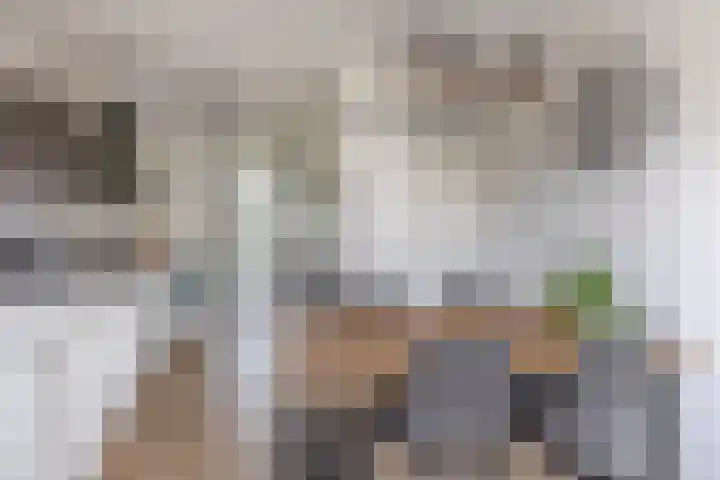 Zilverreigerdreef 6 Pijnacker thumbnail 13