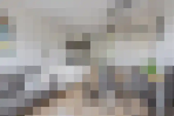 Zilverreigerdreef 6 Pijnacker thumbnail 15
