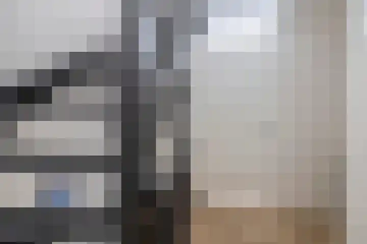 Zilverreigerdreef 6 Pijnacker thumbnail 27