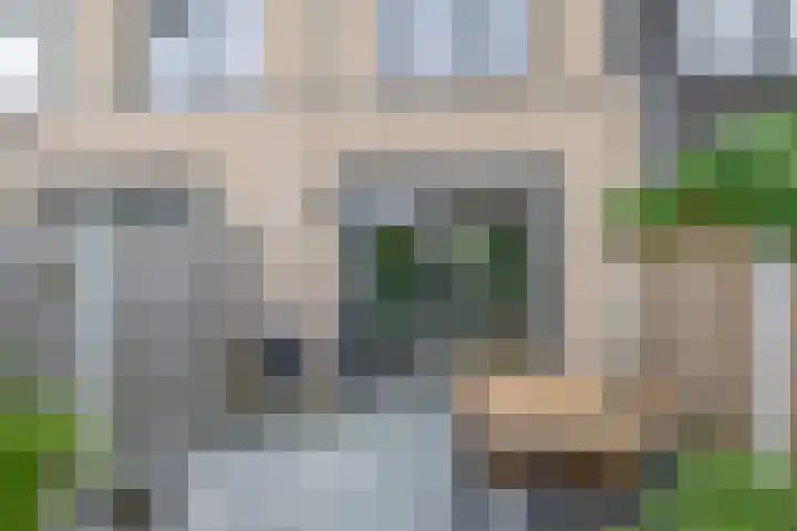 Zilverreigerdreef 6 Pijnacker thumbnail 31