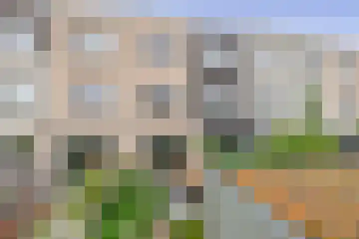 Zilverreigerdreef 6 Pijnacker thumbnail 32