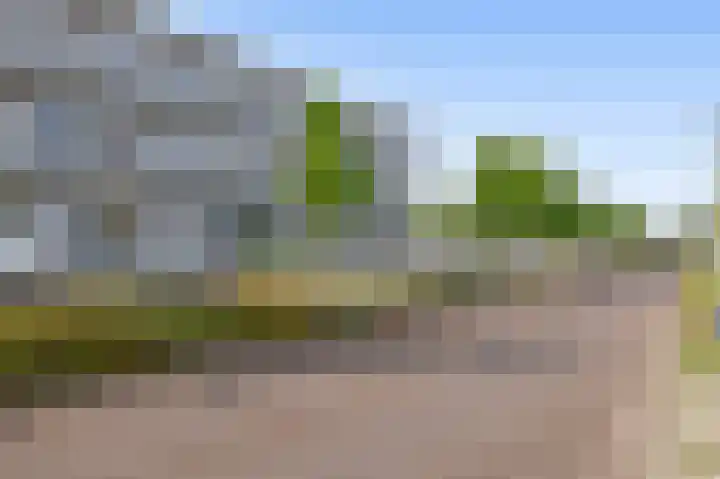 Zilverreigerdreef 6 Pijnacker thumbnail 34