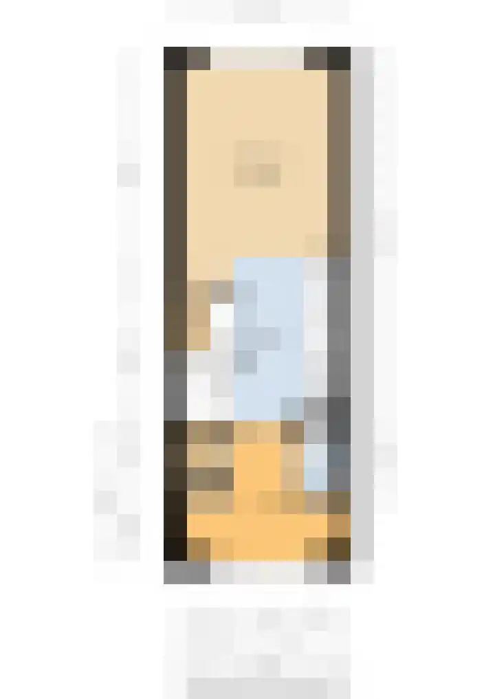 Zilverreigerdreef 6 Pijnacker thumbnail 36