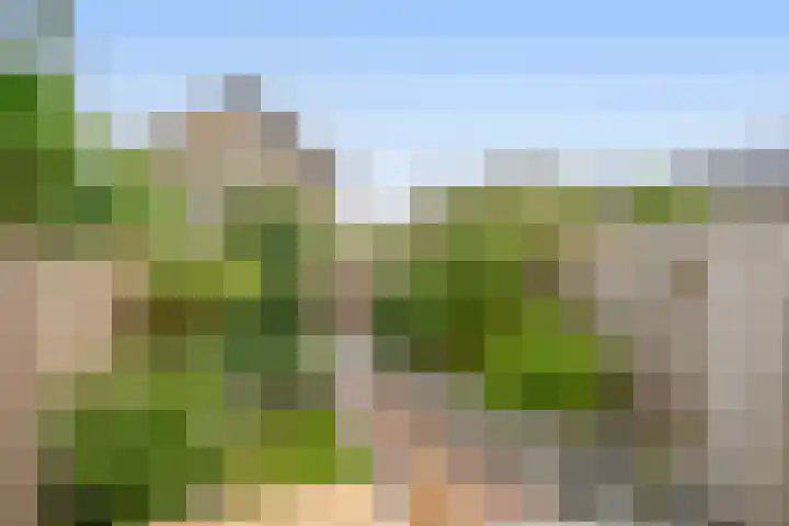 Zilverreigerdreef 6 Pijnacker thumbnail 4