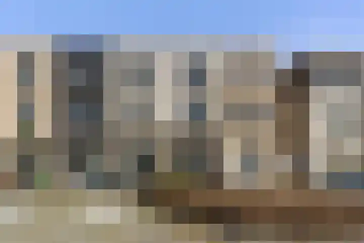 Zilverreigerdreef 60 Pijnacker